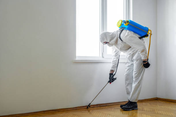 Best Pest Removal Services  in Clemson University, SC